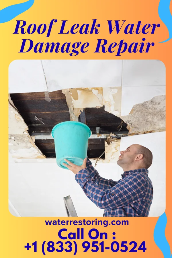 Roof Leak Water Damage Repair in Burton, SC
