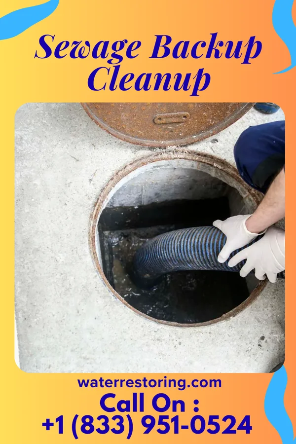 Sewage Backup Cleanup in Burton, SC